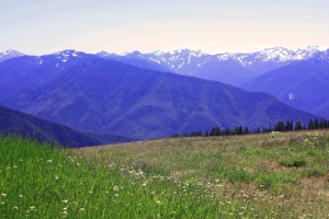 uitzicht over de weides en bergen | Olympic National Park